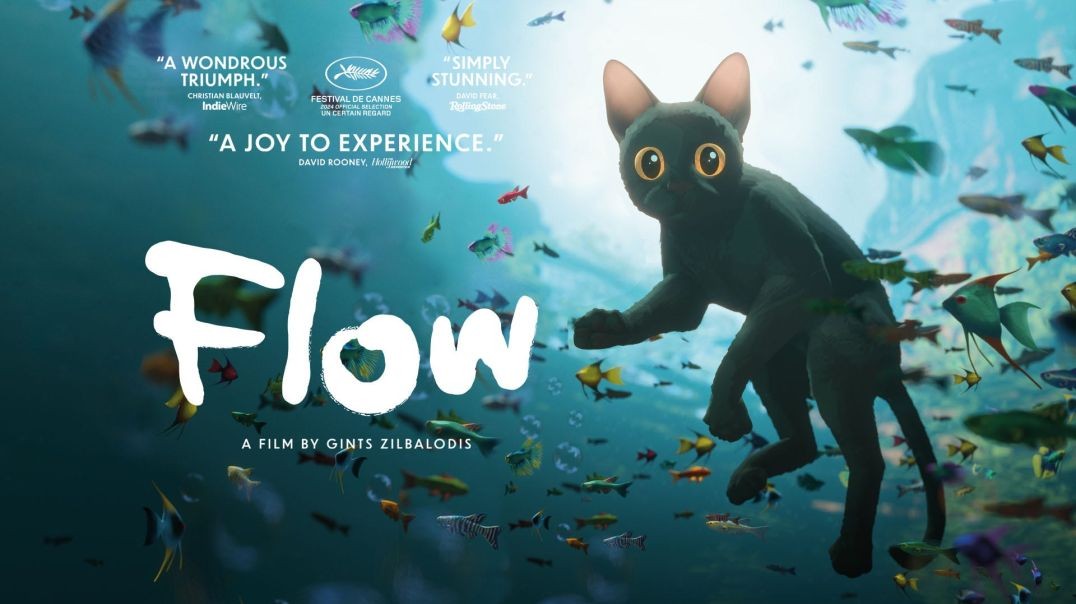 ⁣Flow (2024) FULL MOVIE